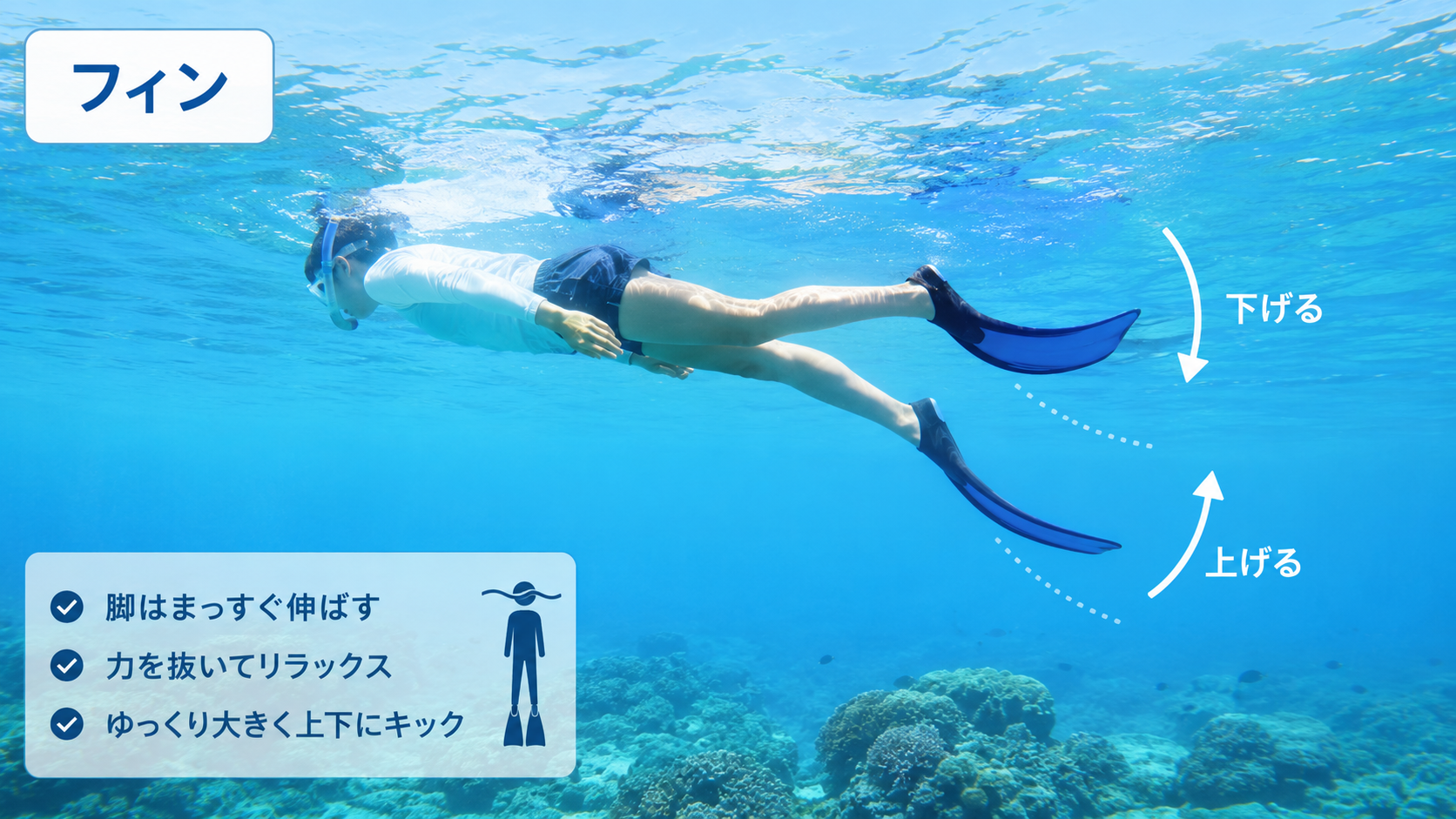 フィンキックの基本